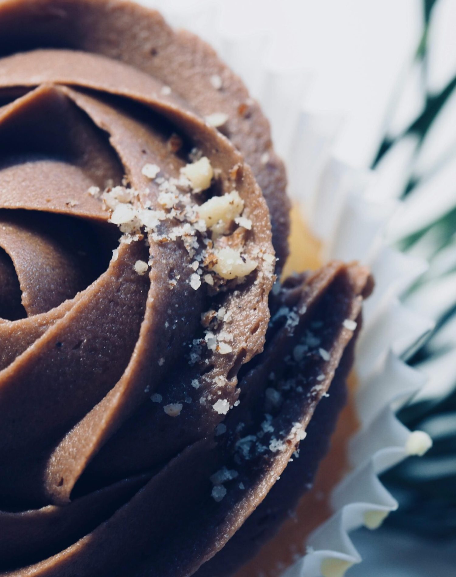 pexels-jessbaileydesign-1312479