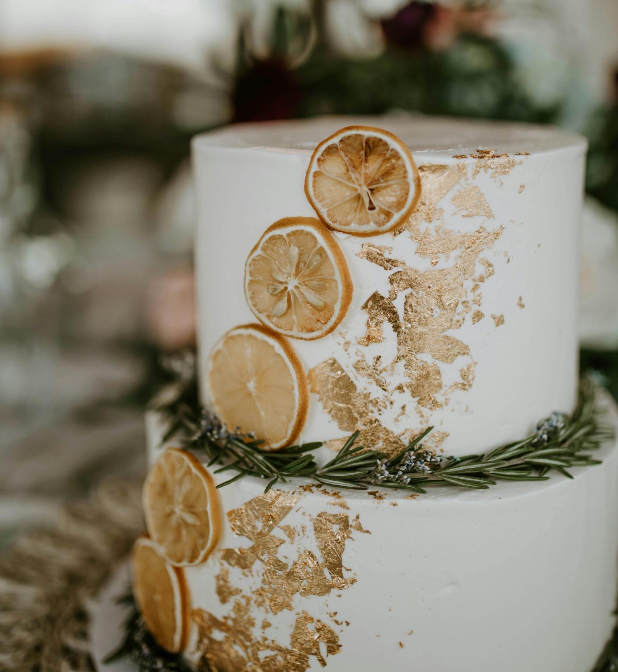 pexels-tara-winstead-6479548 pexels-tara-winstead-6479548